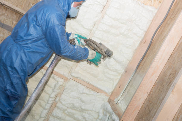 Best Insulation for New Construction  in USA